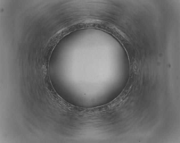 X0000072490821200608041413