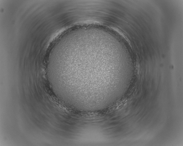 X0000072490823200608041414