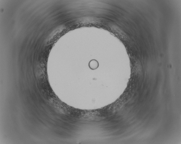 X0000072490824200608041414