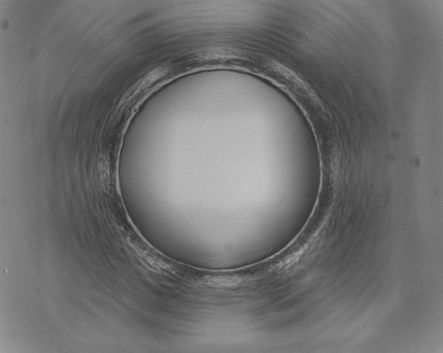 X0000072490825200608041414