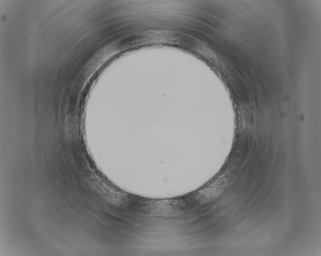 X0000072490828200608041414