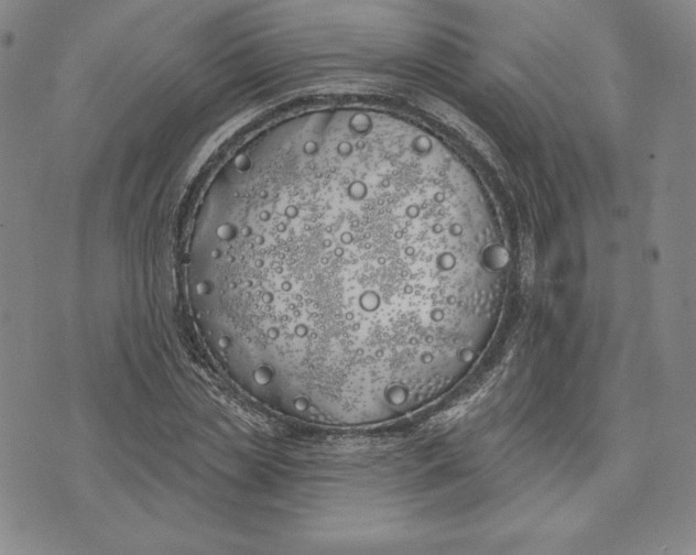 X0000072490829200608041414