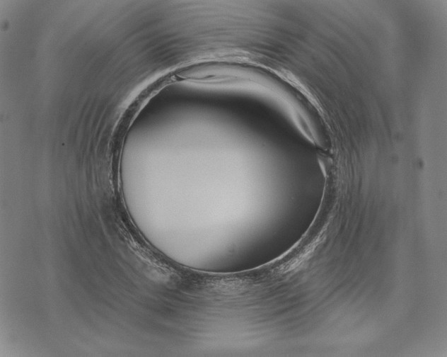 X0000072490830200608041414