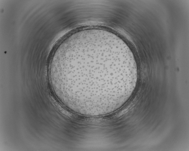 X0000072490831200608041414