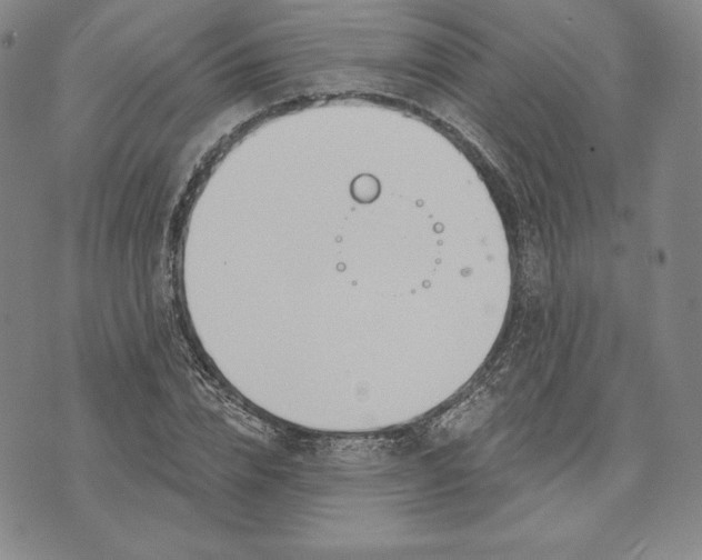 X0000072490832200608041414