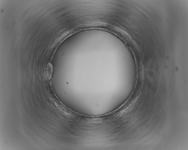 X0000072490833200608041414