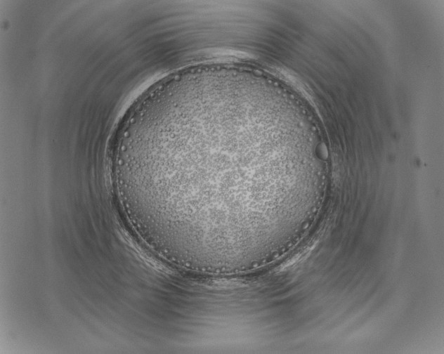 X0000072490835200608041414