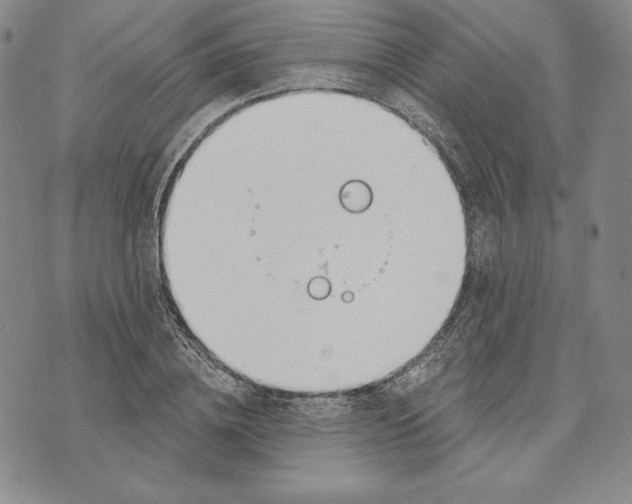 X0000072490836200608041414