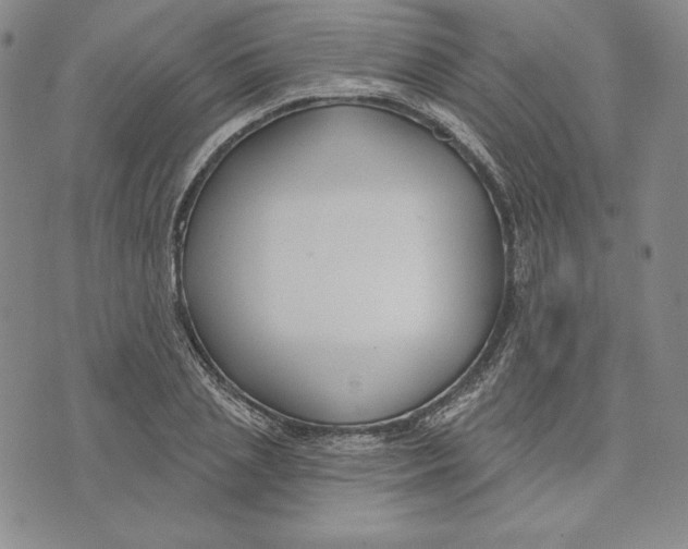 X0000072490837200608041414