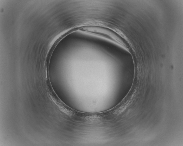 X0000072490838200608041414