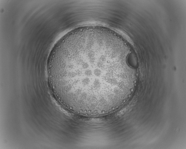 X0000072490839200608041414