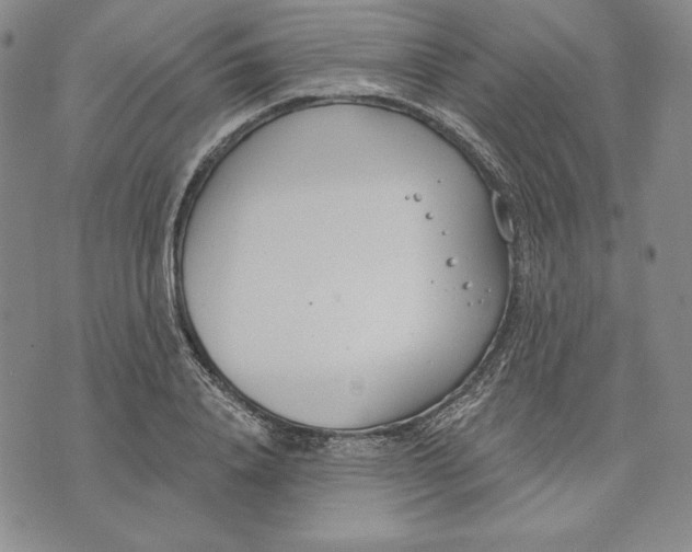 X0000072490840200608041414