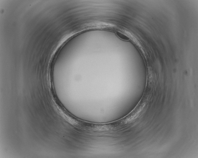 X0000072490843200608041414