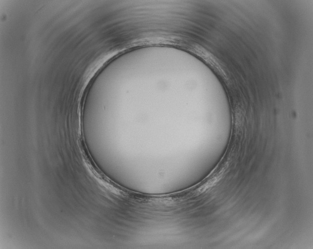 X0000072490844200608041414