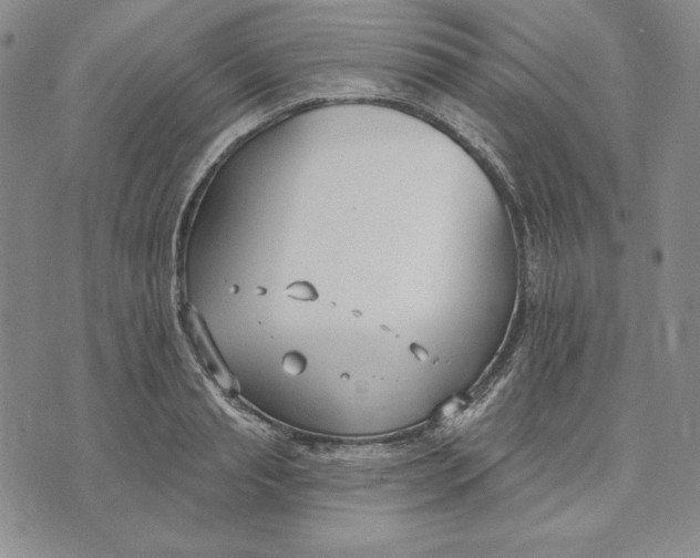 X0000072490845200608041414