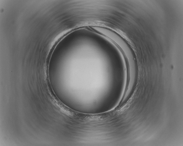 X0000072490846200608041414