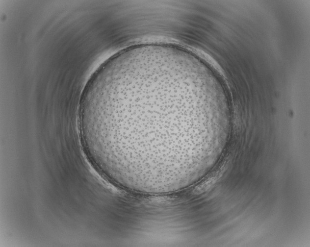 X0000072490847200608041414