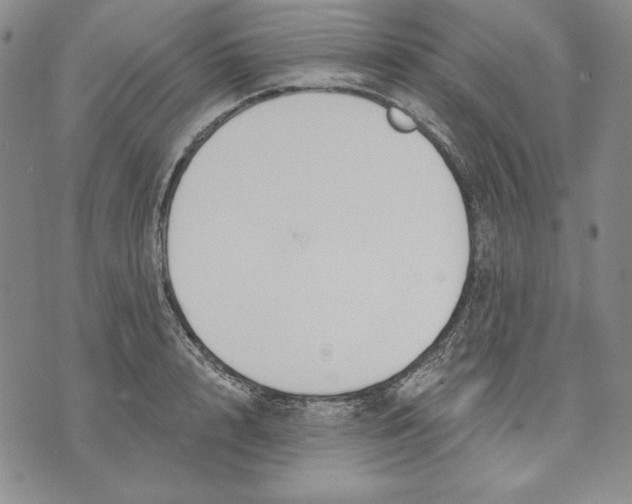 X0000072490848200608041414