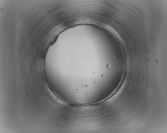 X0000072490849200608041414