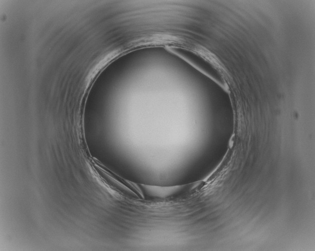 X0000072490850200608041414