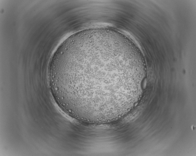 X0000072490851200608041414