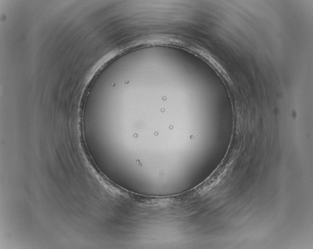 X0000072490853200608041414