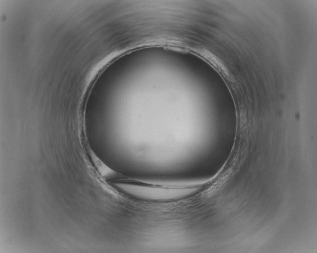 X0000072490854200608041414