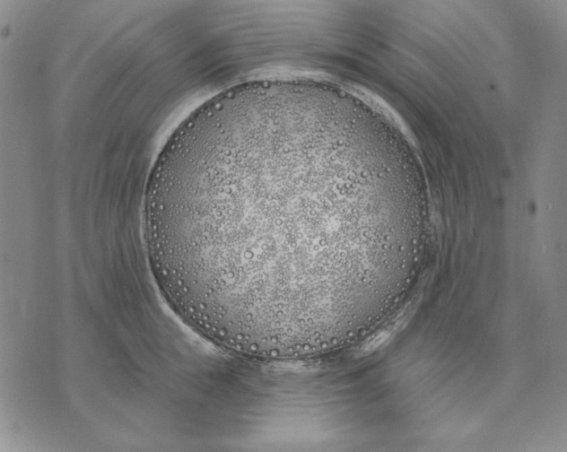 X0000072490855200608041414