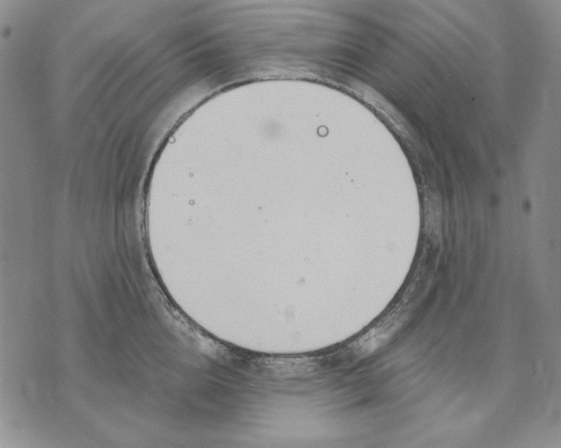 X0000072490856200608041414