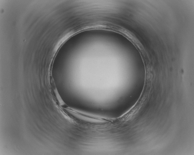 X0000072490858200608041414