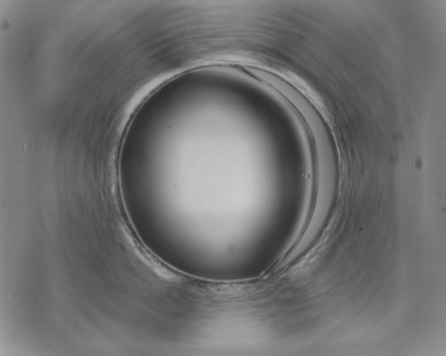 X0000072490862200608041414