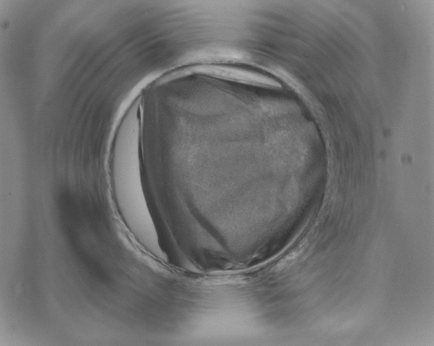 X0000072490864200608041414