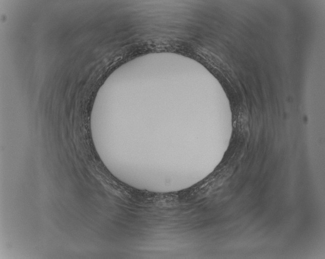 X0000072490865200608041413