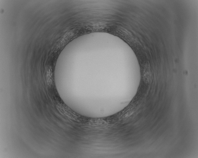 X0000072490866200608041413