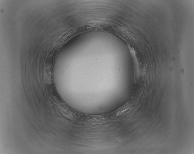 X0000072490868200608041413