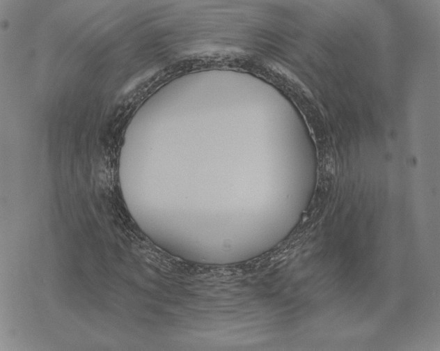 X0000072490869200608041413