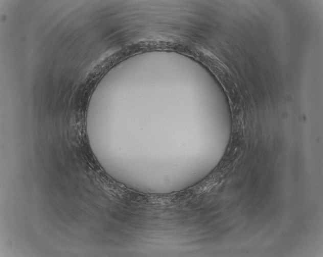 X0000072490870200608041413