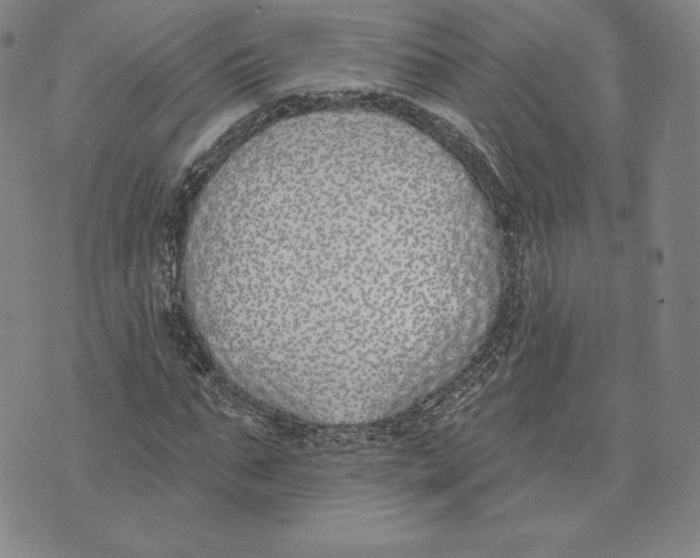 X0000072490871200608041413