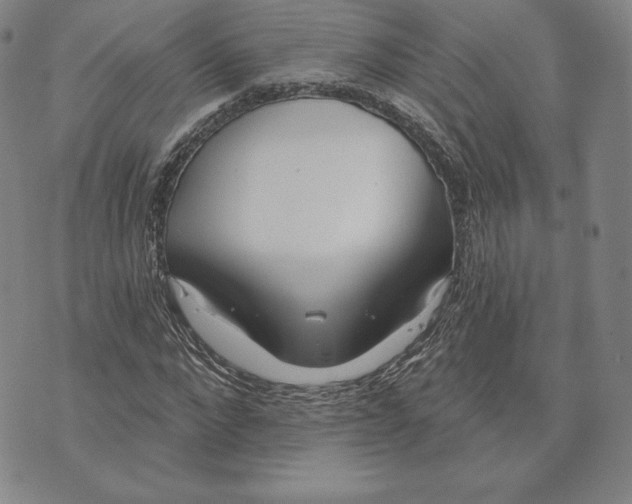 X0000072490872200608041413