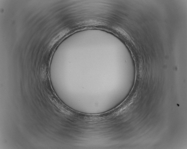 X0000072490873200608041413