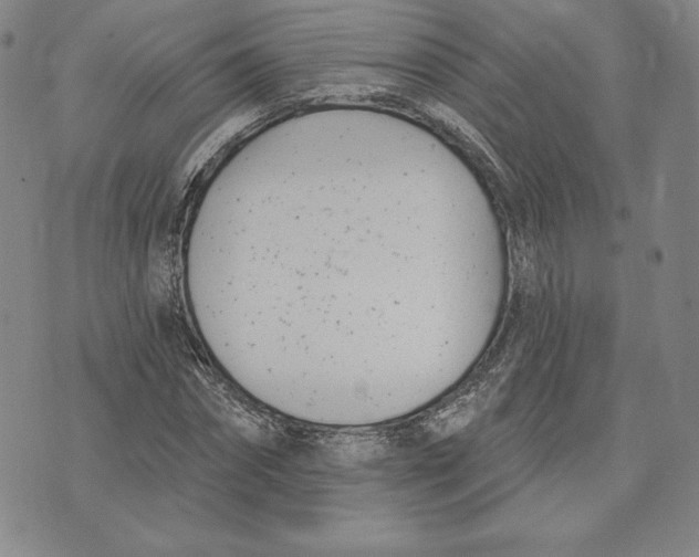 X0000072490874200608041413