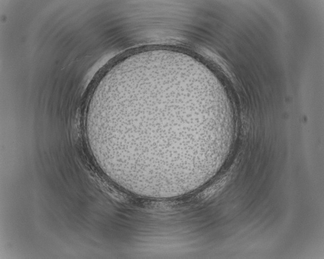 X0000072490875200608041413