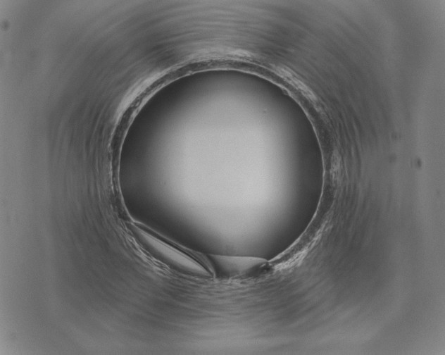 X0000072490877200608041413