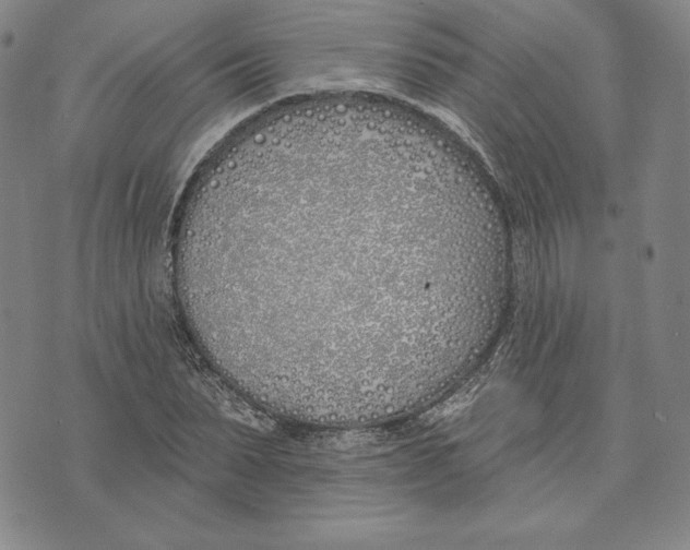 X0000072490879200608041413