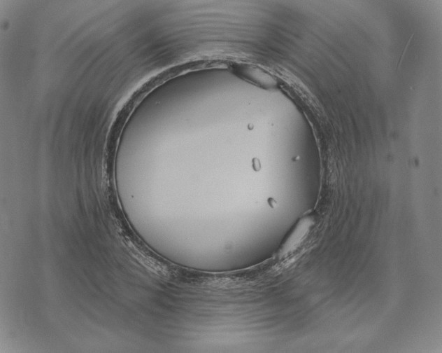 X0000072490880200608041413