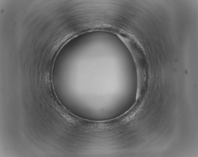 X0000072490881200608041413