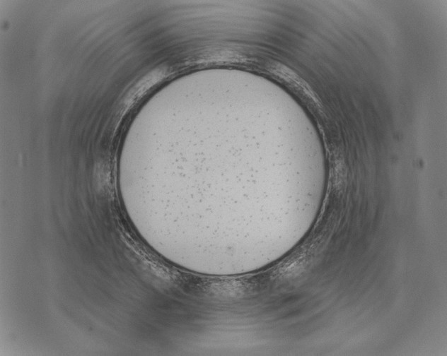 X0000072490882200608041413