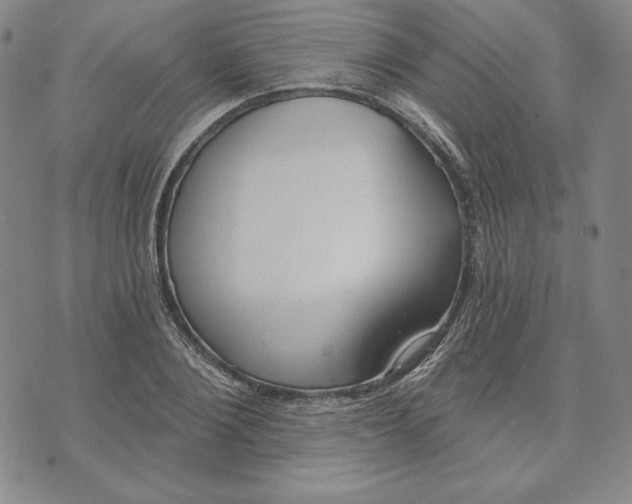 X0000072490884200608041413