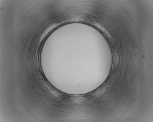 X0000072490886200608041413