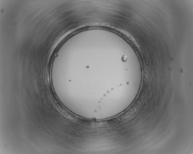 X0000072490887200608041413